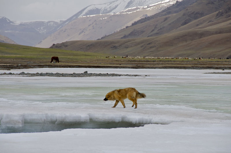 Mongolia